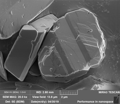 碳酸锂，利用MIRA减速下SE探测器成像